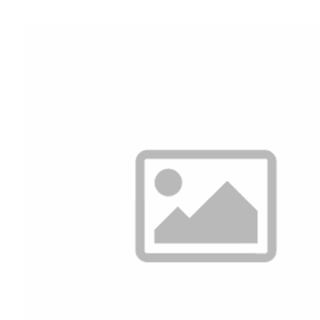 Lesonal Degreaser WB (Siliconfjerner)