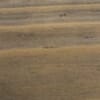 oil-plus-2c_pine_Black