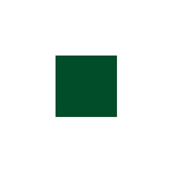 RAL 6002 Sprayboks 400 ml Laubgrün/ Leaf green