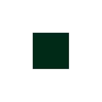 RAL 6005 Sprayboks 400 ml Moosgrün/ Moss green