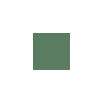 RAL 6021 Sprayboks 400 ml Blassgrün/ Pale green