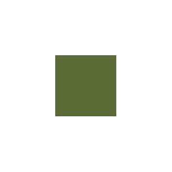 RAL 6025 Sprayboks 400 ml Farngrün/ Fern green spesial