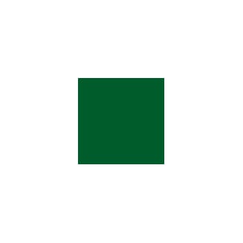 RAL 6029 Sprayboks 400 ml Minzgrün/ Mint green