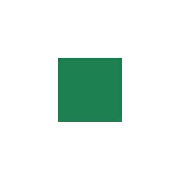 RAL 6032 Sprayboks 400 ml Signalgrün/ Signal green