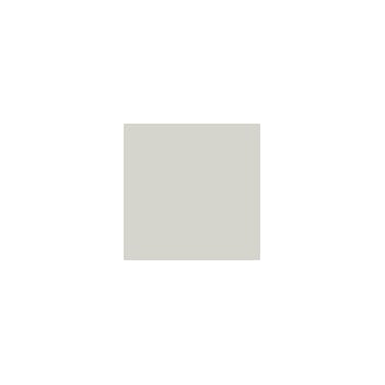 RAL 9002 Sprayboks 400 ml Grauweiß/ Grey VICKY