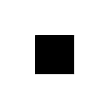 RAL 9005 Sprayboks 400 ml Tiefschwarz/ Jet black