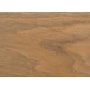 Rubio M. oil 2c Mud Light